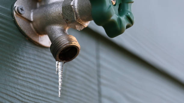 Best Shower Repair Services  in Green Meadows, OH